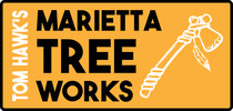 Tree Services Marietta